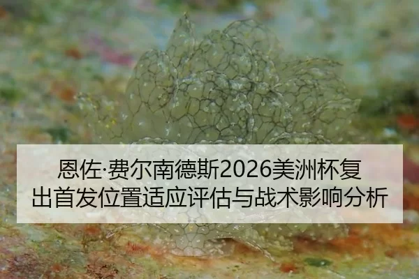 en-zuo-fei-er-nan-de-si-mei-zhou-bei-fu-chu-shou-fa-wei-zhi-shi-ying-ping-gu-yu-zhan-shu-ying-xiang-fen-xi-2-838.jpg