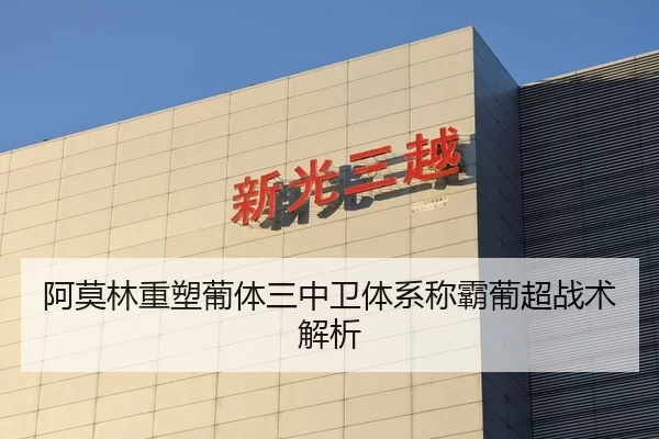 阿莫林重塑葡体三中卫体系称霸葡超战术解析